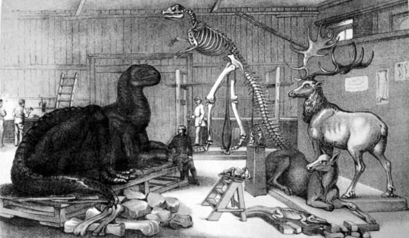 Benjamin Waterhouse Hawkins' studio at the Central Park Arsenal, with models of extinct animals