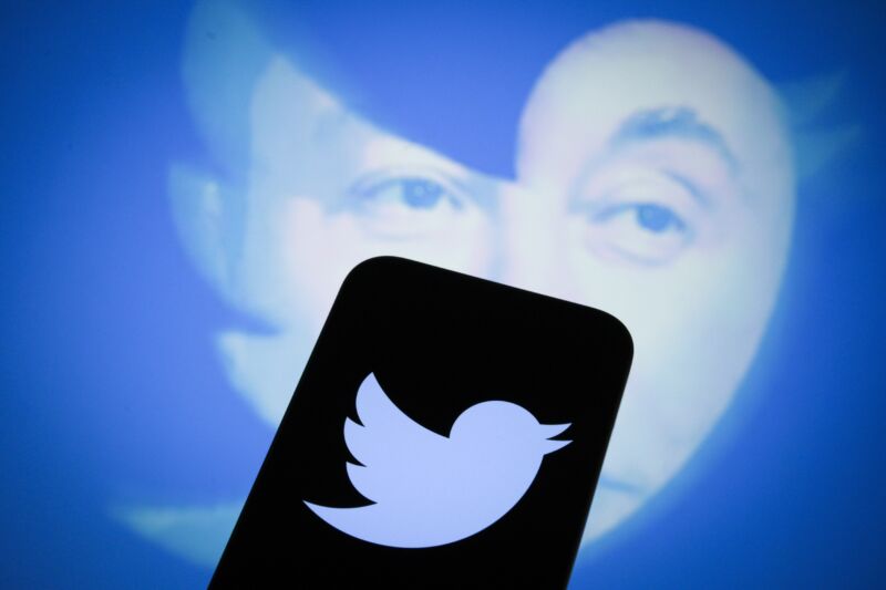 Illustration that inserts Elon Musk's face into Twitter's bird-shaped logo.